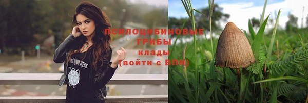 метадон Покачи