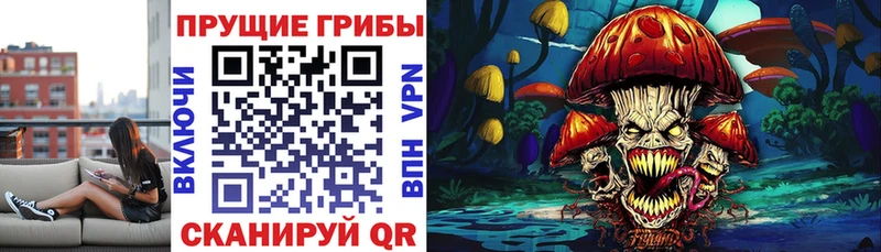 Псилоцибиновые грибы Psilocybine cubensis хочу Азнакаево