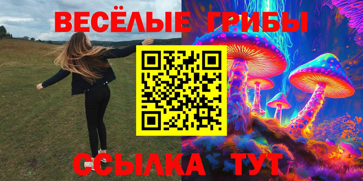 Галлюциногенные грибы прущие грибы  Галлюциногенные грибы прущие грибы  Вход с VPN  Азнакаево 